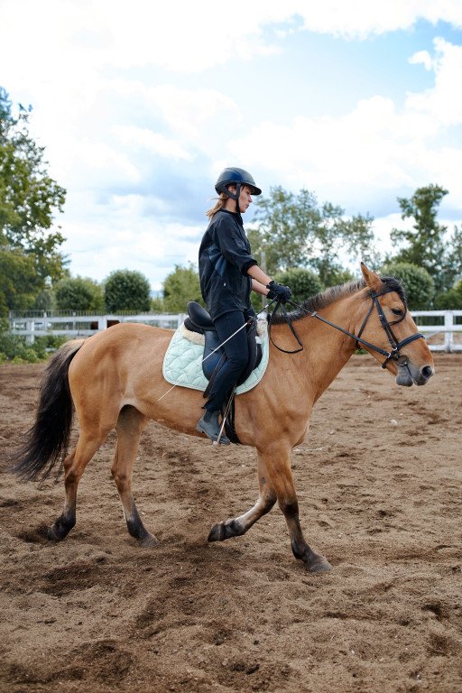 The Ultimate Guide to Horseback Riding in Your Area: Discover the Joy of Equestrian Adventures