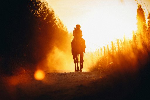Sunset Horse Riding Adventure