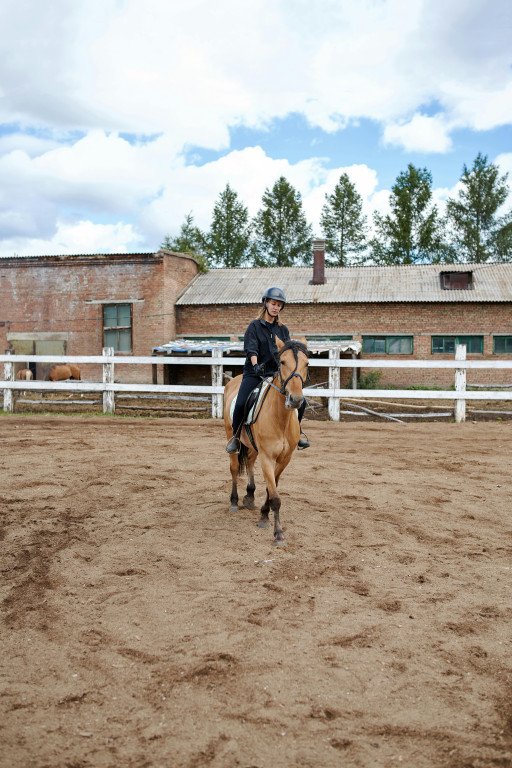Horseback Riding Ranch Experience