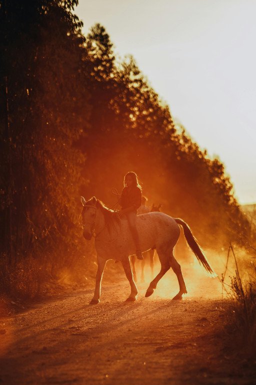 The Comprehensive Guide to Mastering Horseback Riding: Techniques, Benefits, and Gear Essentials